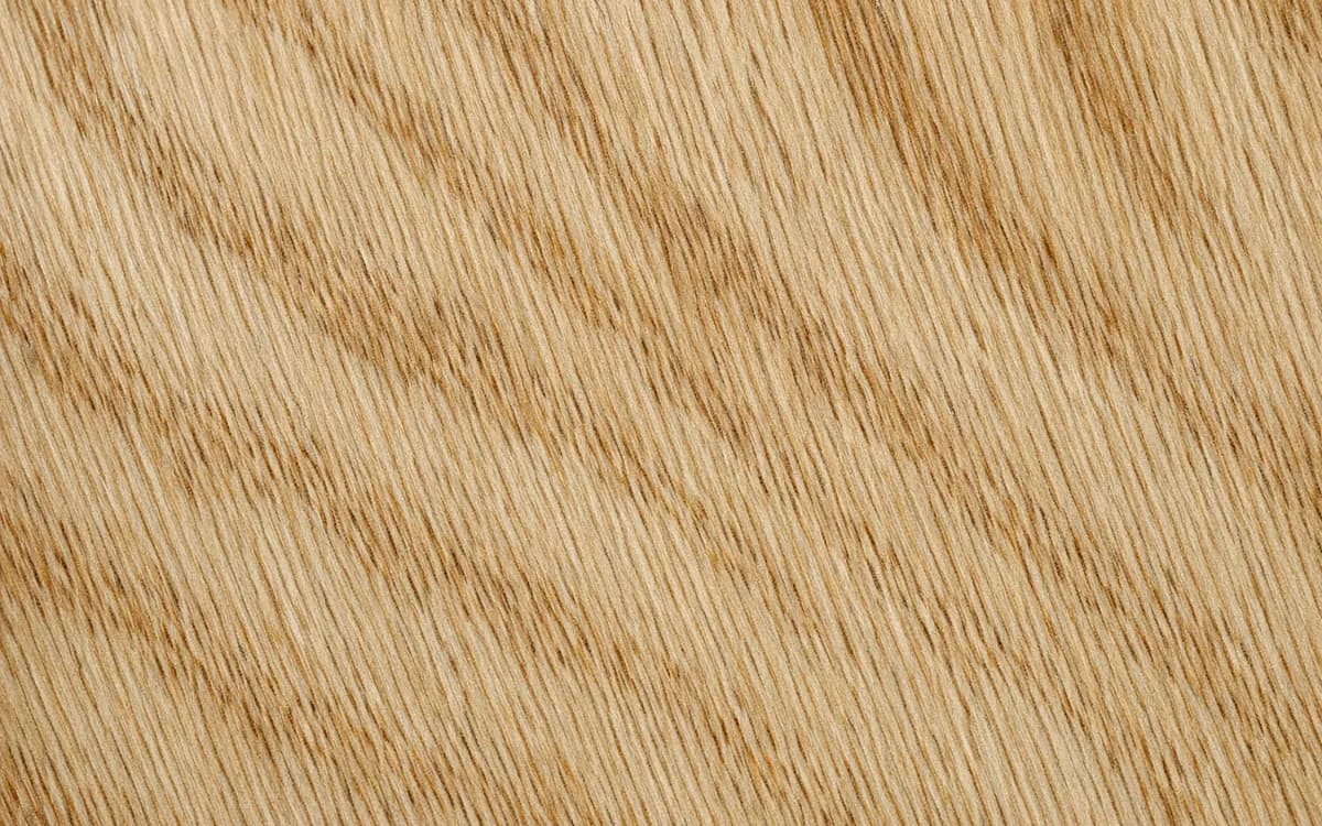 Close-up structure and texture of White oak
