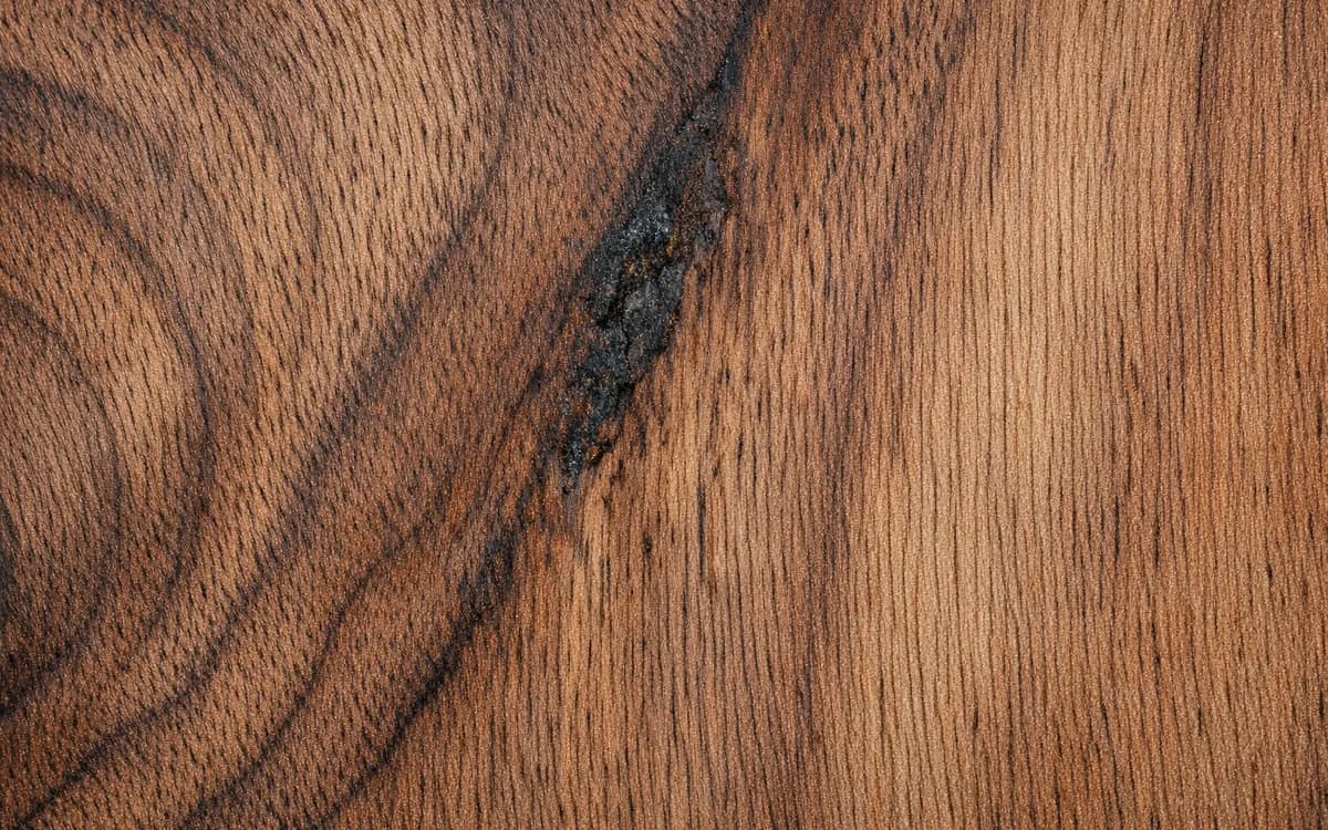 Macro detail of American walnut — texture and structure