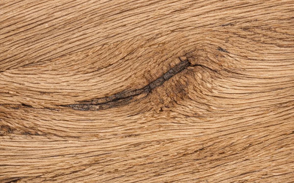 Close-up structure and texture of European oak
